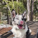 @echo.nelson2024 - Instagram