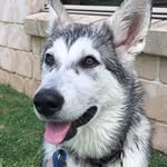 Echo Storm Phillips - @echostormphillips - Instagram