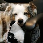 EchoGreyPierce - @echogreypierce - Instagram