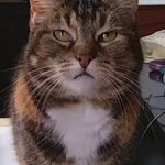 Echo Reed - @echo_reed46 - Instagram