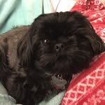 Echo Rice - @echochevron3 - Instagram