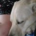 Echo Richardson - Facebook