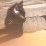 Echo Kitty Fajardo Rivera - @kittyefr - Instagram