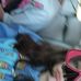 Echo Robertson - Facebook
