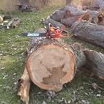 Russell Echo - @russellecho - Instagram