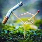 Lanang Mbarep - @echo_ryanto - Instagram