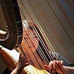 Echo Shen - @harpecho - Instagram