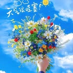 Echo Shen - Facebook