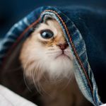 Echo Shen - @echo_shen - Instagram
