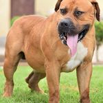 echo smith - @echo_smith_2468 - Instagram
