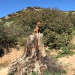 Echo Taylor - @echotaylorprojects - Instagram