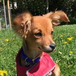 Echo Thompson-Thomas - @echo_explores - Instagram