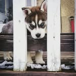 Echo Walker - @echo.walker - Instagram