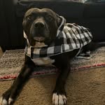 Echo Wallace - @officialechowallace - Instagram