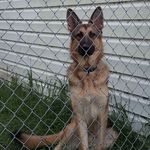 Echo Walton - @echogsd1 - Instagram