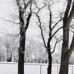 Echo Wei - @echowei25 - Instagram