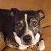 Echo Wells - Facebook