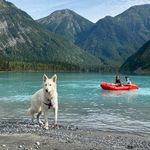 Echo.white.gsd - @echospack - Instagram