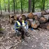 echo.woods - @echo.woods - TikTok