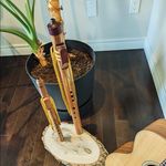 Adam schaaf - @echo_in_the_woods_music - Instagram