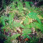 echowoods88 - @echowoods88 - Instagram