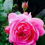@echo.young - Instagram