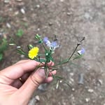 Echo99 - @echoyoung99 - Instagram