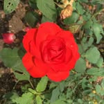 Echo Zeng - @echo_raul - Instagram