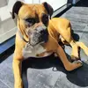 bebesaurio:3 - @ecolopezmaldonado - TikTok