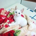 ervin - @ecowadequa - Instagram