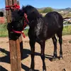 Hectorgonzalez0224 - @ector729 - TikTok