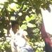 Ector ramon - Facebook