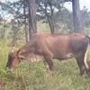 ectorramon7 - @ectorramon7 - TikTok