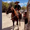 Wero🐴 - @hector_rodriguez5.9 - TikTok