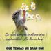 Isael Padilla - Facebook