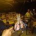 Allan Edwin Akehurst - Facebook