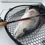 Capt Ed Alford/Capt Ryan Alford - @getn_hooked_ckfl - Instagram