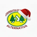 Cooperativa Educacional Alternativa - COEDA - @colegioalternativacoeda - Instagram