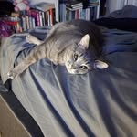 Edward Amaya - @edamaya - Instagram
