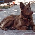 Maya - @e_da_maya - Instagram