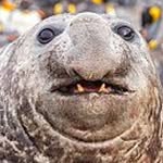 ed andrew and 120 others - @ed_andrew_and.120.others - Instagram