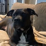 Ed Anton - @anton.ed - Instagram
