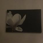 Jules Appleby - @applebyedwin1 - Instagram