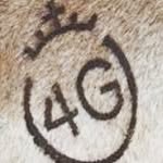 Eduardo Argueta - @ed.arguetas - Instagram
