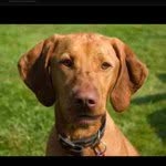 ed_aronchick - @ed_aronchick - Instagram