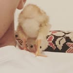 Ed Harrington - @ed__harrington - Instagram