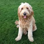 Eddie Ashworth - @eddie.doodle - Instagram