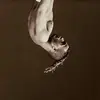 Ednardo Ayres - @ednardoayres - TikTok