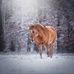 Topp Ed of Badger - Facebook