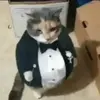 Ed balls😍😍 - @soggy.goldfish.lover_2 - TikTok
